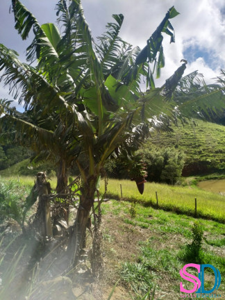 Imagem Fazenda à Venda, 30.123.417 m² em Centro - São Luiz Do Paraitinga Imagem Fazenda à Venda, 30.123.417 m² em Centro - São Luiz Do Paraitinga
