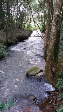 Imagem Fazenda à Venda, 10.649 m² em Cognópolis - Foz Do Iguacu