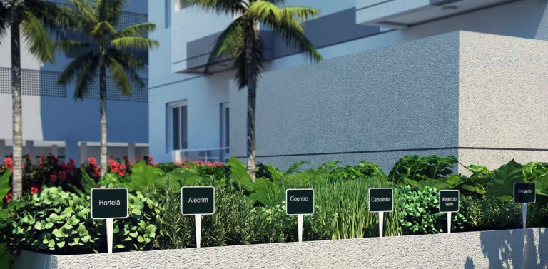 Imagem Apartamento com 2 Quartos à Venda,  em Jabaquara - Santos