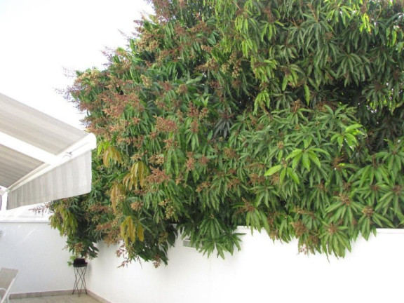 Imagem Sobrado com 3 Quartos à Venda, 250 m² em Jardim Village Saint Claire - Sorocaba