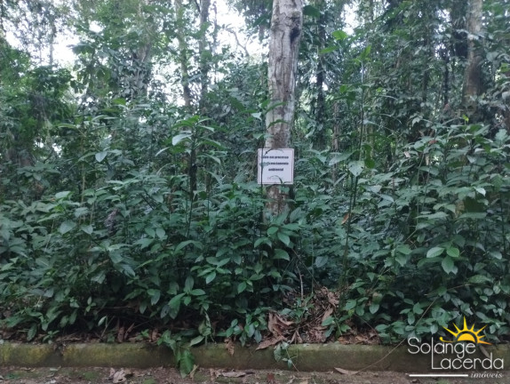 Imagem Terreno à Venda, 1.000 m² em Felix - Ubatuba Imagem Terreno à Venda, 1.000 m² em Felix - Ubatuba