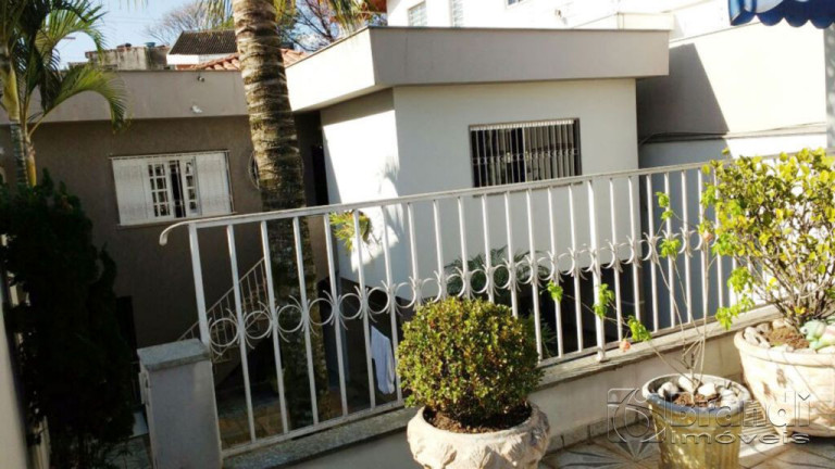 Imagem Casa com 3 Quartos à Venda, 320 m² em Vila Zelina - São Paulo