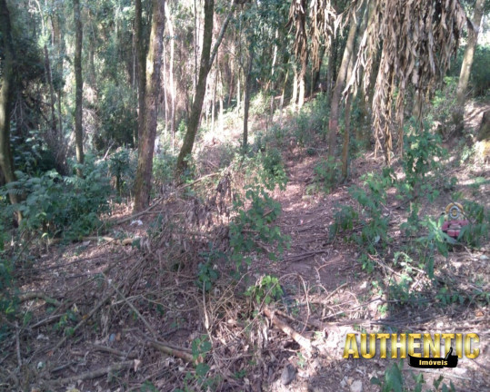 Imagem Terreno à Venda, 1.800 m² em Caxambu - Jundiaí