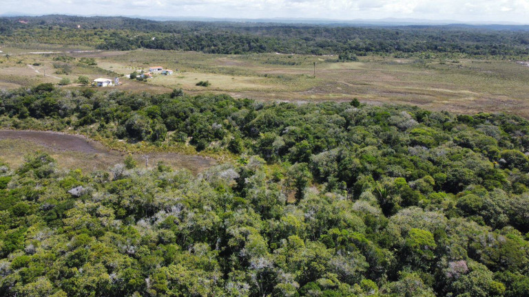 Imagem Chácara à Venda, 20.000 m² em Marau Imagem Chácara à Venda, 20.000 m² em Marau