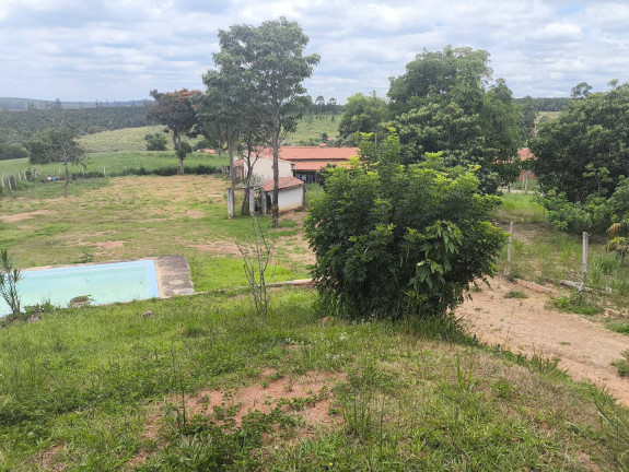 Imagem Chácara com 3 Quartos à Venda, 2.500 m² em Cercadinho - Alambari Imagem Chácara com 3 Quartos à Venda, 2.500 m² em Cercadinho - Alambari