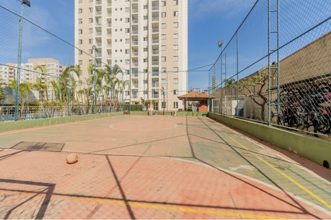 Imagem Apartamento com 2 Quartos à Venda, 64 m² em água Branca - São Paulo Imagem Apartamento com 2 Quartos à Venda, 64 m² em água Branca - São Paulo