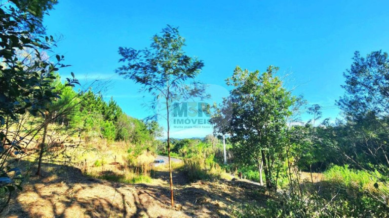Imagem Terreno à Venda, 509 m² em Linha Olinda - Nova Petrópolis Imagem Terreno à Venda, 509 m² em Linha Olinda - Nova Petrópolis