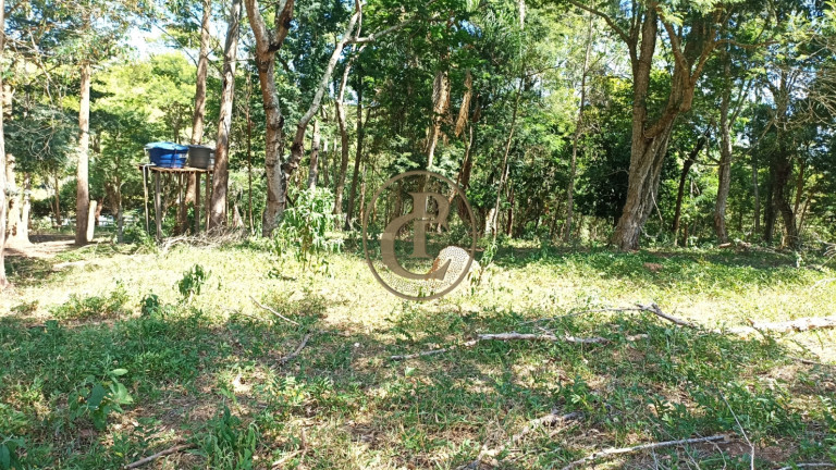 Imagem Chácara com 2 Quartos à Venda, 100 m² em Porto - Paraibuna Imagem Chácara com 2 Quartos à Venda, 100 m² em Porto - Paraibuna
