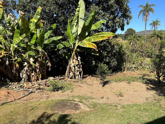 Imagem Chácara com 5 Quartos à Venda, 20 m² em Zona Rural - Mateus Leme
