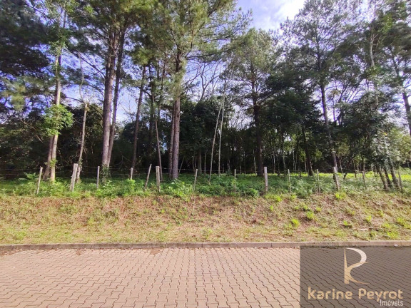 Imagem Terreno à Venda, 250 m² em Campestre - São Leopoldo Imagem Terreno à Venda, 250 m² em Campestre - São Leopoldo