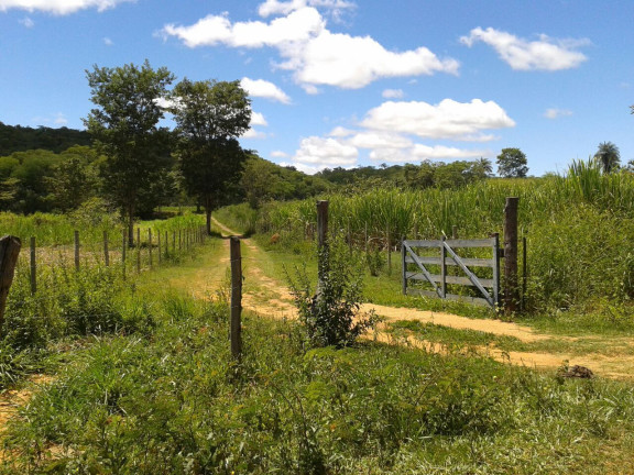 Imagem Imóvel com 3 Quartos à Venda, 1.000 m² em Zona Rural - Baldim