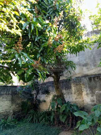 Imagem Casa com 3 Quartos à Venda, 182 m² em Jardim Brasil - Atibaia