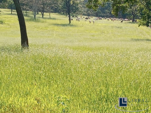 Imóvel à Venda, 23 m² em área Rural De Ribeirão Preto - Ribeirão Preto