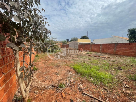Imagem Terreno à Venda, 360 m² em Jardim Noroeste - Campo Grande Imagem Terreno à Venda, 360 m² em Jardim Noroeste - Campo Grande