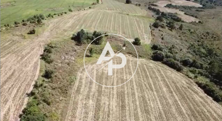 Imagem Fazenda à Venda, 19 m² em Palmeira Imagem Fazenda à Venda, 19 m² em Palmeira