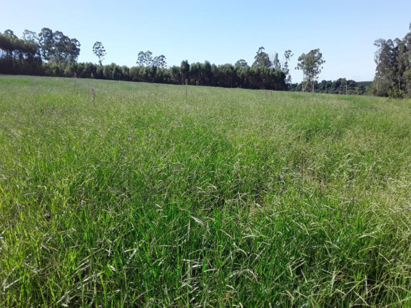 Imagem Chácara à Venda, 4 m² em Rural - Avaré Imagem Chácara à Venda, 4 m² em Rural - Avaré