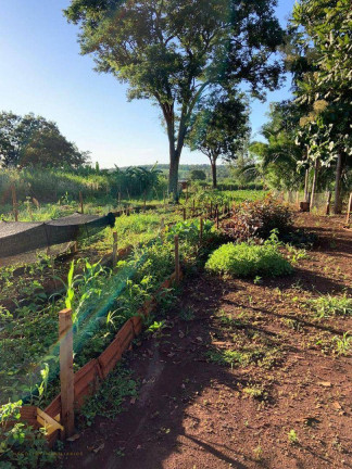 Imagem Chácara com 4 Quartos à Venda, 70.000 m² em Parque Fazenda Imbirussu - Campo Grande Imagem Chácara com 4 Quartos à Venda, 70.000 m² em Parque Fazenda Imbirussu - Campo Grande