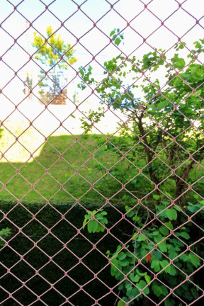 Imagem Imóvel com 2 Quartos à Venda, em Vila Nova - Porto Alegre Imagem Imóvel com 2 Quartos à Venda, em Vila Nova - Porto Alegre