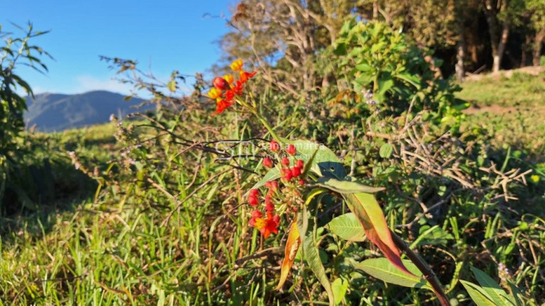 Imagem Imóvel à Venda, 56 m² em Asa Branca - Silveiras Imagem Imóvel à Venda, 56 m² em Asa Branca - Silveiras