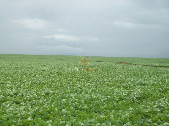 Imóvel com 3 Quartos à Venda, 57.000 m² em Zona Rural - Santana Do Araguaia