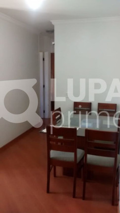 Imagem Apartamento com 2 Quartos à Venda, 50 m² em Lauzane Paulista - São Paulo