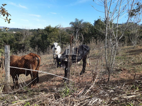 Imagem Terreno à Venda, 4.357 m² em Socorro Imagem Terreno à Venda, 4.357 m² em Socorro