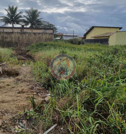 Imagem Terreno à Venda, 510 m² em Jardim Palmeiras Ii - Itanhaém Imagem Terreno à Venda, 510 m² em Jardim Palmeiras Ii - Itanhaém