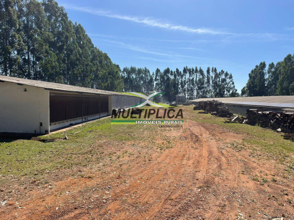 Imagem Fazenda à Venda, 38 m² em Uberaba Imagem Fazenda à Venda, 38 m² em Uberaba