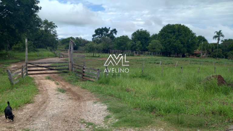 Imagem Imóvel com 1 Quarto à Venda, 98 m² em Zona Rural - Bodoquena Imagem Imóvel com 1 Quarto à Venda, 98 m² em Zona Rural - Bodoquena