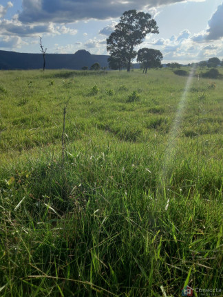 Imagem Imóvel à Venda, 2.040.000 m² em Centro - Caiapônia Imagem Imóvel à Venda, 2.040.000 m² em Centro - Caiapônia
