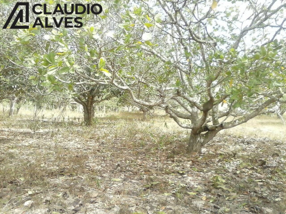Imagem Terreno à Venda, 17.300 m² em Jaíba - Feira De Santana Imagem Terreno à Venda, 17.300 m² em Jaíba - Feira De Santana