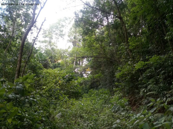 Imagem Terreno à Venda, 8 m² em Germânia - Nova Petrópolis