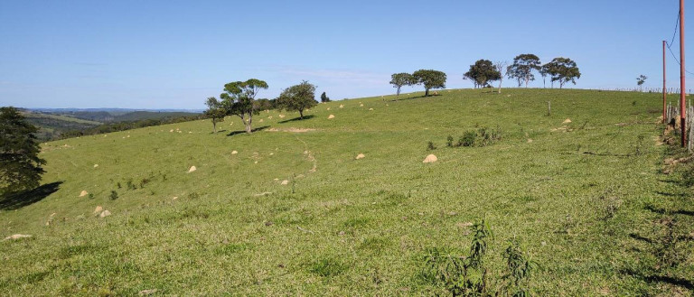 Imagem Fazenda à Venda, 1.016 m² em Bairro Dos Leites - Piedade Imagem Fazenda à Venda, 1.016 m² em Bairro Dos Leites - Piedade