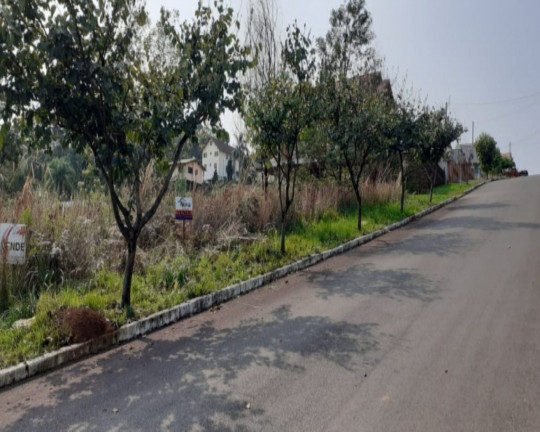 Imagem Imóvel à Venda, 700 m² em Vale Verde - Nova Petrópolis