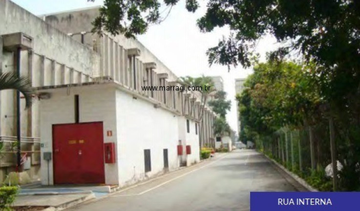 Imagem Imóvel para Alugar, em Tamboré - Barueri Imagem Imóvel para Alugar, em Tamboré - Barueri