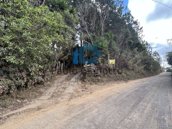 Imagem Terreno à Venda, 18.455 m² em Taboleiro Verde - Cotia