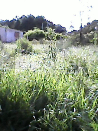 Imagem Imóvel à Venda, 350 m² em Arroio Teixeira - Capao Da Canoa Imagem Imóvel à Venda, 350 m² em Arroio Teixeira - Capao Da Canoa