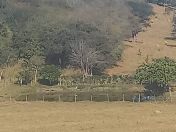 Imagem Fazenda à Venda, 55 m² em Rural - Porto Feliz Imagem Fazenda à Venda, 55 m² em Rural - Porto Feliz