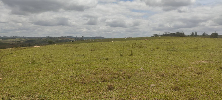 Imagem Chácara à Venda, em Cercadinho - Alambari Imagem Chácara à Venda, em Cercadinho - Alambari
