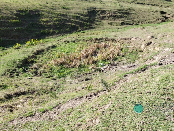 Imagem Imóvel à Venda, 27.000 m² em Zona Rural - Alfredo Wagner Imagem Imóvel à Venda, 27.000 m² em Zona Rural - Alfredo Wagner