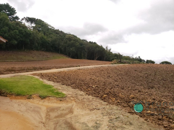 Imagem Imóvel com 1 Quarto à Venda, 60.000 m² em Zona Rural - Alfredo Wagner