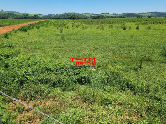 Imagem Imóvel à Venda, 175 m² em área Rural De Pouso Alegre - Pouso Alegre Imagem Imóvel à Venda, 175 m² em área Rural De Pouso Alegre - Pouso Alegre