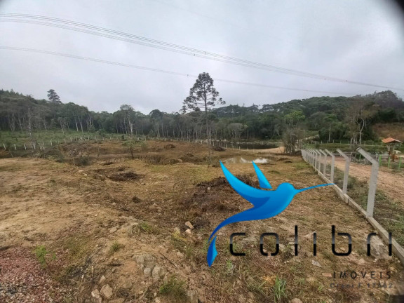 Imagem Chácara com 3 Quartos à Venda, 4.612 m² em Ribeirão Grande - Agudos Do Sul