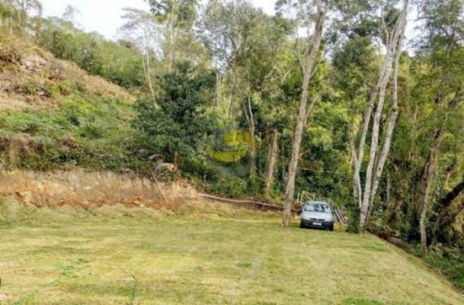 Imagem Casa de Condomínio com 3 Quartos à Venda, 104 m² em Jardim Nossa Senhora Das Graças - Cotia Imagem Casa de Condomínio com 3 Quartos à Venda, 104 m² em Jardim Nossa Senhora Das Graças - Cotia