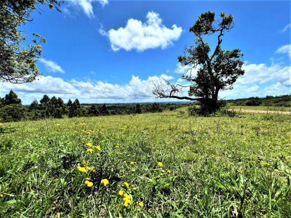 Chácara à Venda, 1 m² em Fiuza - Viamão