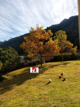 Imagem Imóvel com 4 Quartos à Venda, 6 m² em Morro Reuter