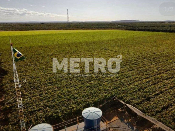 Imagem Fazenda à Venda, 250.000 m² em Rod. Do Salitre - Juazeiro Imagem Fazenda à Venda, 250.000 m² em Rod. Do Salitre - Juazeiro