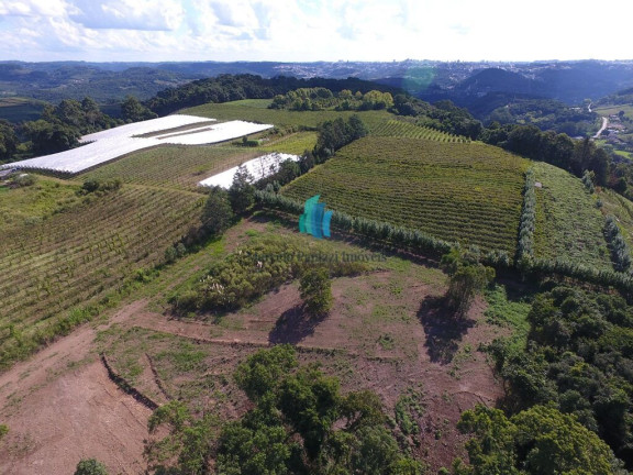 Imagem Terreno à Venda, 20.000 m² em Linha Palmeiro - Pinto Bandeira Imagem Terreno à Venda, 20.000 m² em Linha Palmeiro - Pinto Bandeira