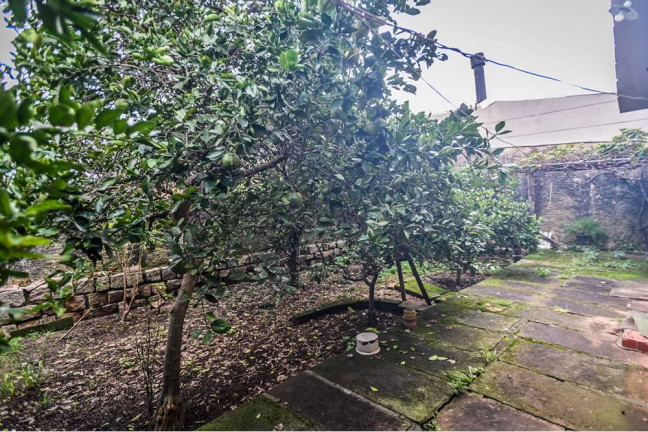 Imagem Casa de Condomínio com 3 Quartos à Venda, 100 m² em Santa Tereza - Porto Alegre