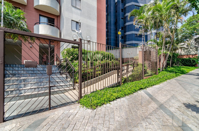 Imagem Apartamento com 3 Quartos à Venda, 69 m² em Vila Zelina - São Paulo